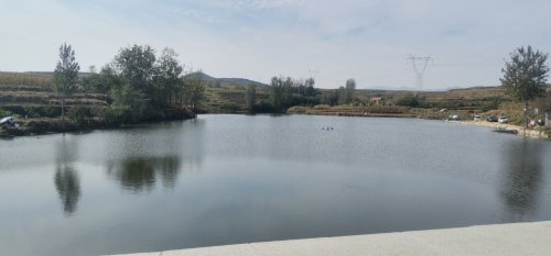 前高庄巨青垂钓园钓点与钓场环境照片