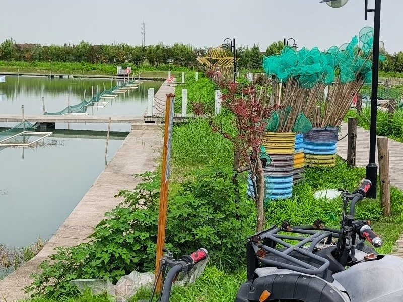 龙湖垂钓基地钓点与钓场环境照片