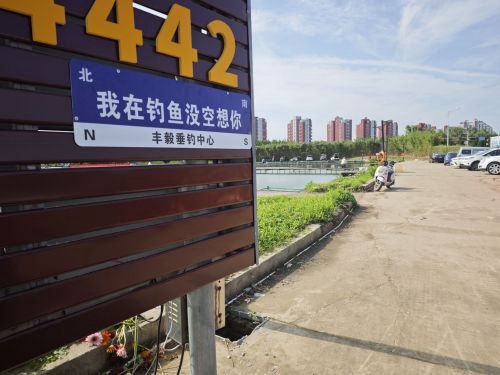 丰毅垂钓中心钓场环境照片