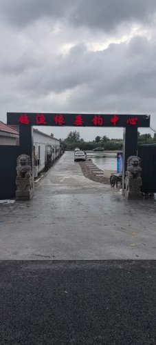 鸽渔缘垂钓中心钓场环境照片