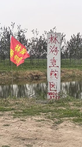 林海垂钓园钓点与钓场环境照片