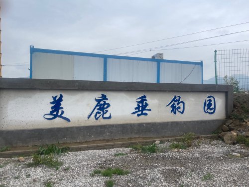 美鹿垂钓园钓点与钓场环境照片