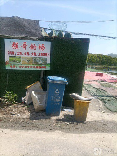 强哥钓场钓点与钓场环境照片