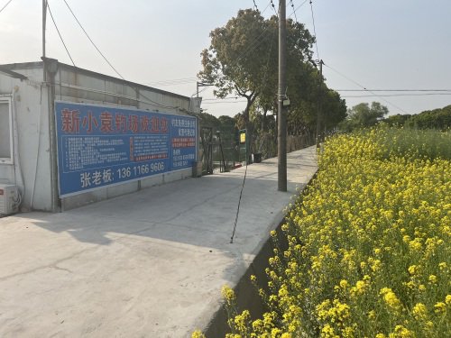 新小袁钓场钓点与钓场环境照片