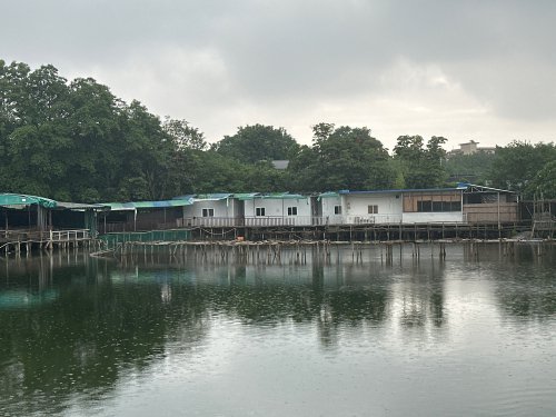 周佳鱼塘钓点与钓场环境照片