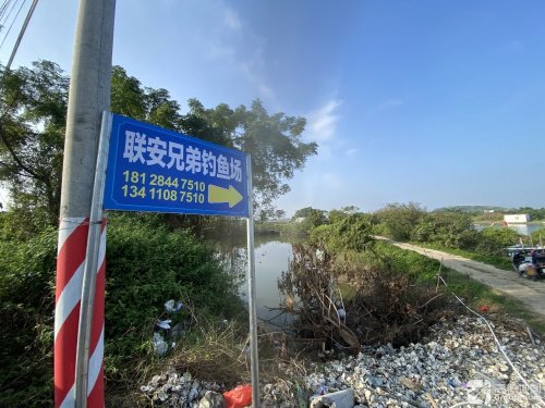 三江兄弟钓鱼场钓点与钓场环境照片