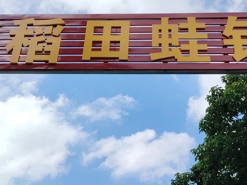 东华稻田蛙钓场钓点与钓场环境照片