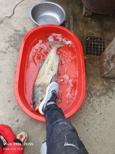 天桥垂钓园钓场环境照片