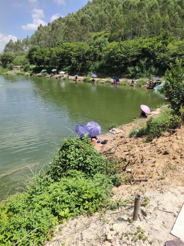 东岭钓鱼场钓点与钓场环境照片