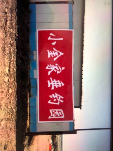小金家垂钓园钓点与钓场环境照片
