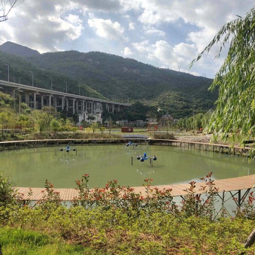 大福塘垂钓中心钓场环境照片