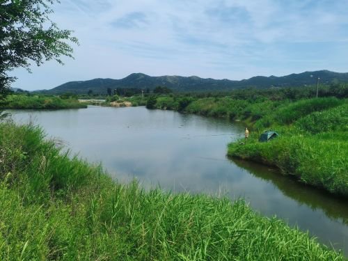 仙鹤垂钓园钓点与钓场环境照片