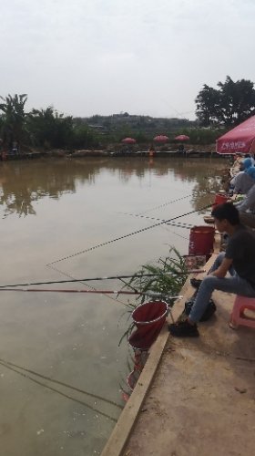 小乡村钓鱼场钓点与钓场环境照片