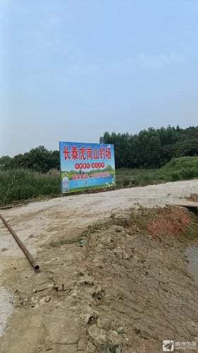 长泰虎岗山钓场钓场环境照片
