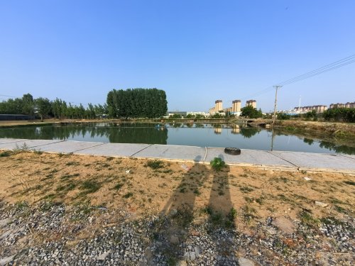东区垂钓园钓点与钓场环境照片
