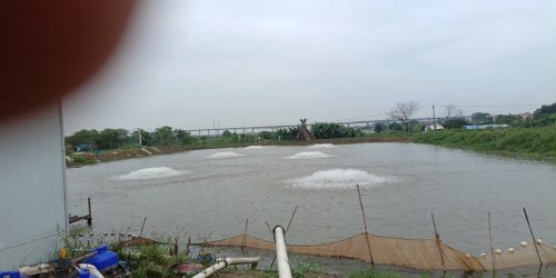 阿尾鱼塘钓点与钓场环境照片