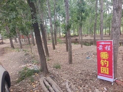 前程垂钓园钓点与钓场环境照片