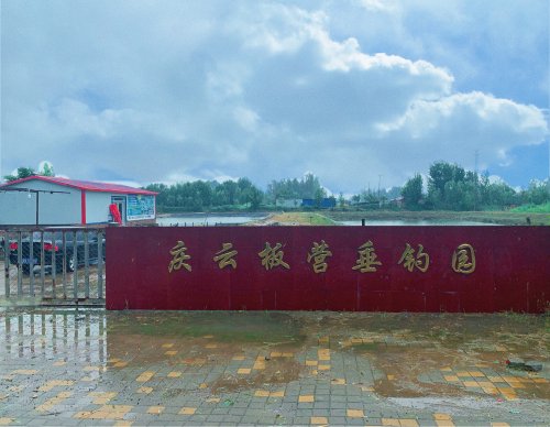 庆云板营垂钓园钓点与钓场环境照片
