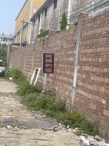 阿辉钓场钓点与钓场环境照片