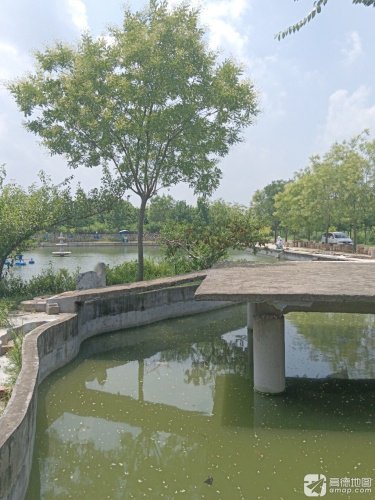 郯城东大荒垂钓园钓点与钓场环境照片