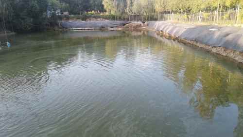 开心垂钓园钓点与钓场环境照片