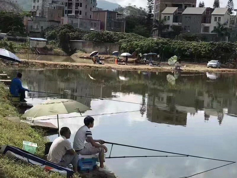 马刘岭钓鱼场钓点与钓场环境照片