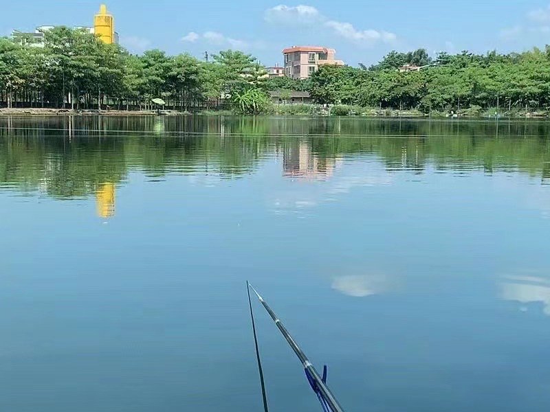 鸭塘钓鱼场钓点与钓场环境照片