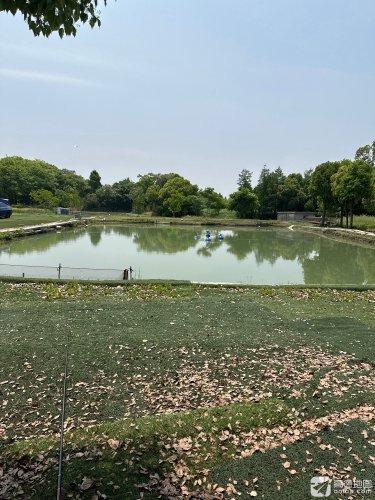 苏州五花湖生态园阿勇钓场钓场环境照片