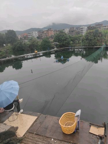 露江村江厝钓场钓场环境照片
