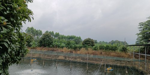 银塘钓鱼台(装修中)钓场环境照片