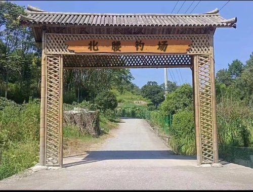 北腰钓场钓场环境照片