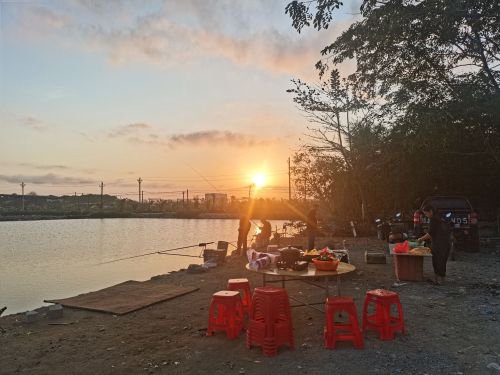 任逍遥休闲垂钓基地钓场环境照片