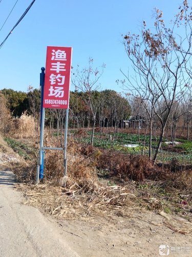 渔丰钓场钓点与钓场环境照片
