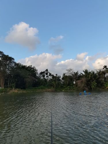 杨飞农家垂钓钓场环境照片