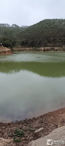 明乐钓场钓场环境照片