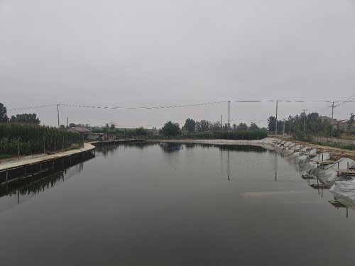 盘老板垂钓中心钓场环境照片