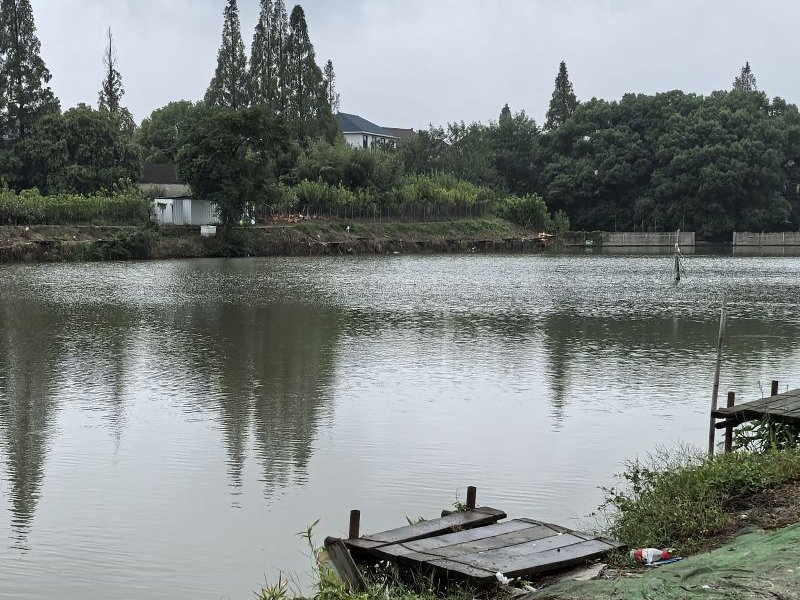 德清啊伟休闲垂钓钓点与钓场环境照片