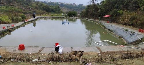 仙都鱼塘钓场环境照片