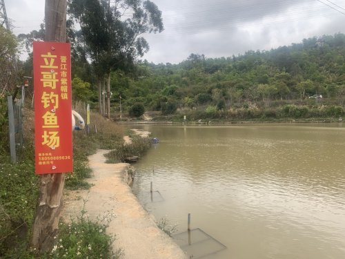 晋江市紫帽镇立哥钓鱼场钓场环境照片