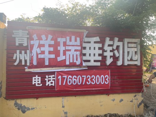 青州祥瑞垂钓园钓点与钓场环境照片