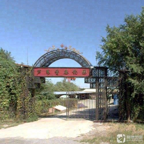 芦苇香垂钓园钓点与钓场环境照片