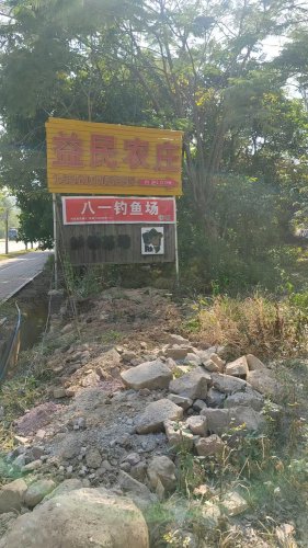 八一钓鱼场钓点与钓场环境照片