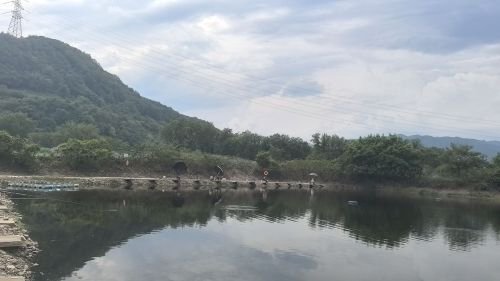 龙观双溪垂钓园钓点与钓场环境照片