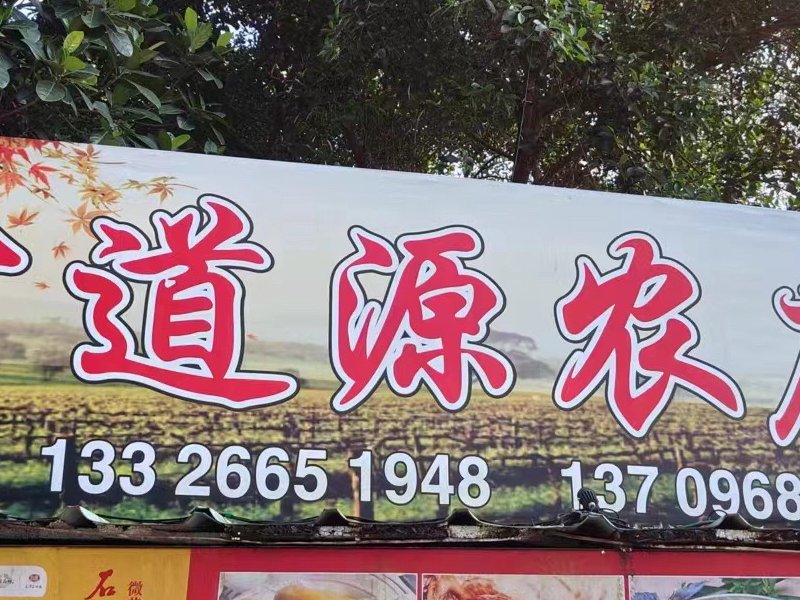 古道源农庄(果园钓鱼场)钓场环境照片