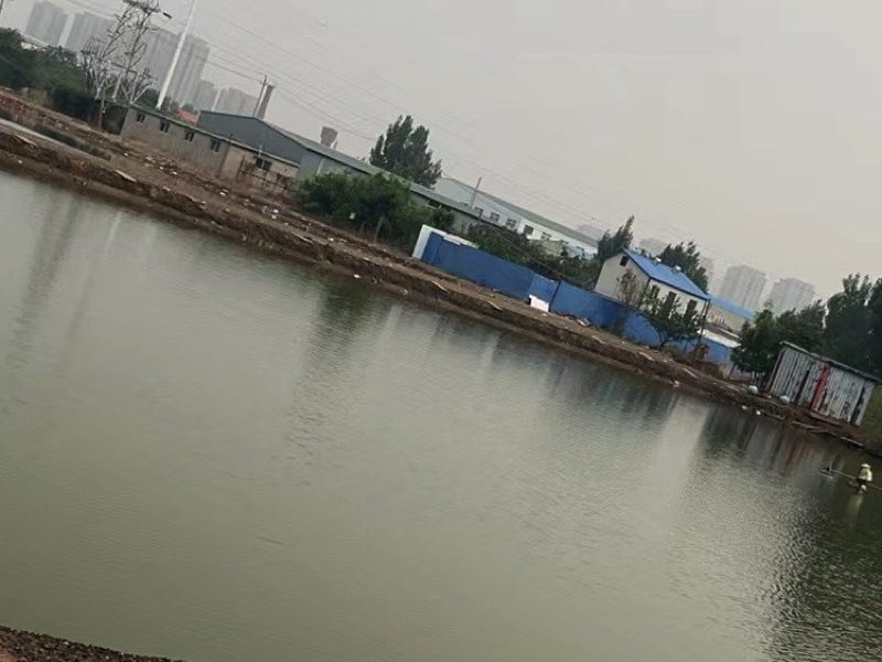 三哥垂钓园(小淀路141号)钓点与钓场环境照片
