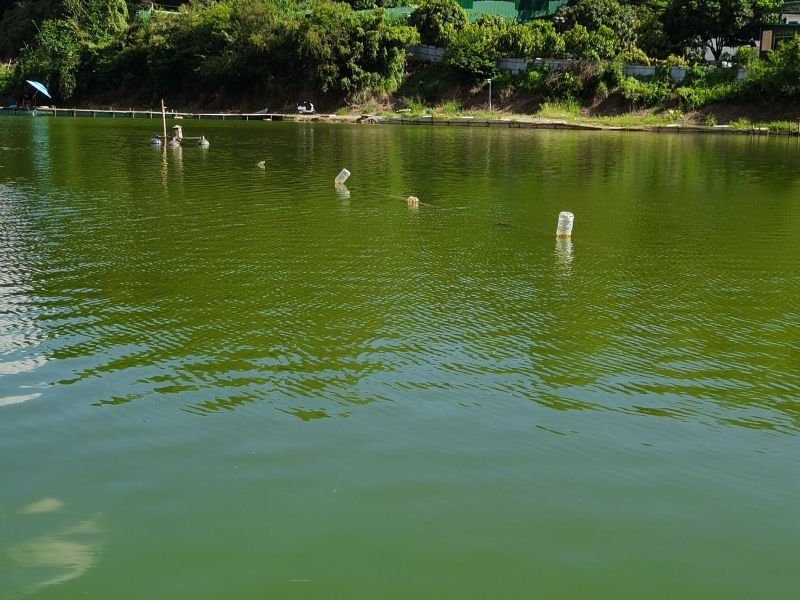 日月潭钓场钓点与钓场环境照片
