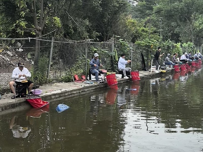新百丽钓鱼场钓点与钓场环境照片