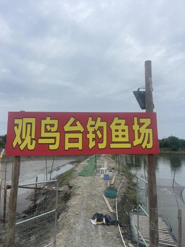 观鸟台钓鱼场钓点与钓场环境照片