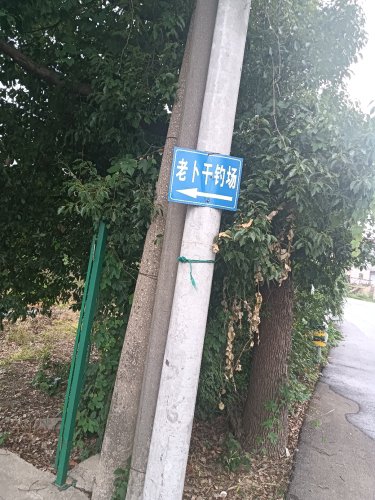 老卜干钓场钓场环境照片