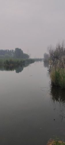 小西庄百亩生态垂钓园钓点与钓场环境照片